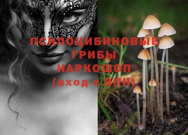 твердый Нефтекумск