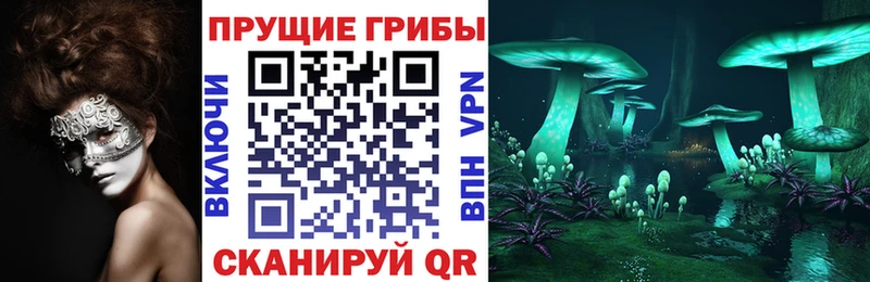 хочу   Покров  Псилоцибиновые грибы прущие грибы 