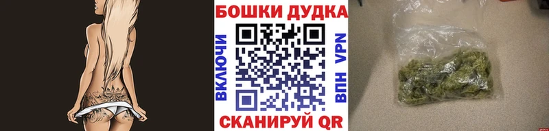 Бошки Шишки планчик Покров